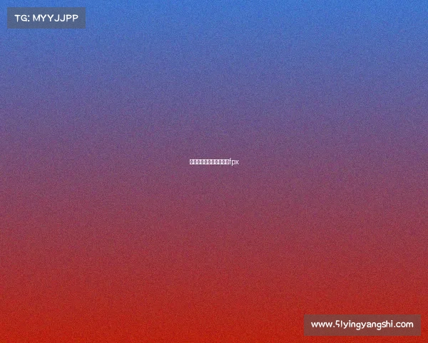 趣加电子竞技、趣加科技fpx